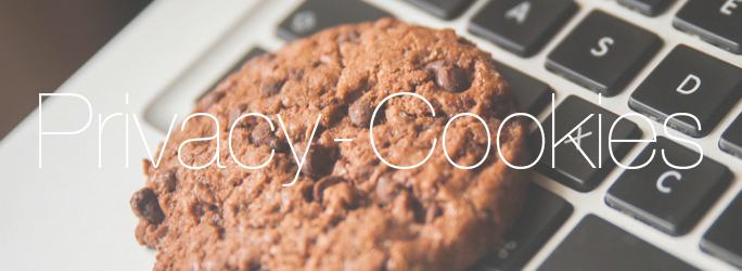 normativa_cookies_privacy-2-giugno